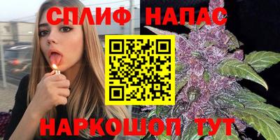 амф Краснодар