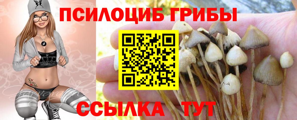 Псилоцибиновые грибы MAGIC MUSHROOMS  Вход с VPN  Железноводск 