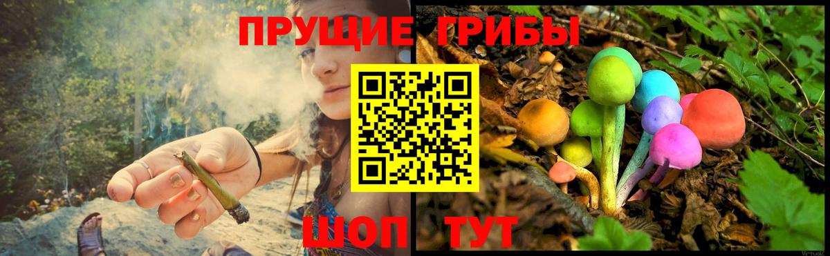 Галлюциногенные грибы мицелий Железноводск
